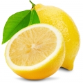 lemon