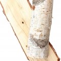 birch