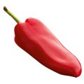 chili pepper