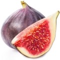 fig