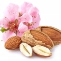 almond blossom