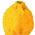 citron 