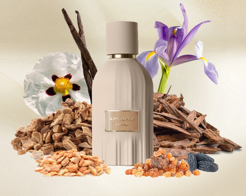 عطر امواج لاستر - AMOUAGE LUSTRE