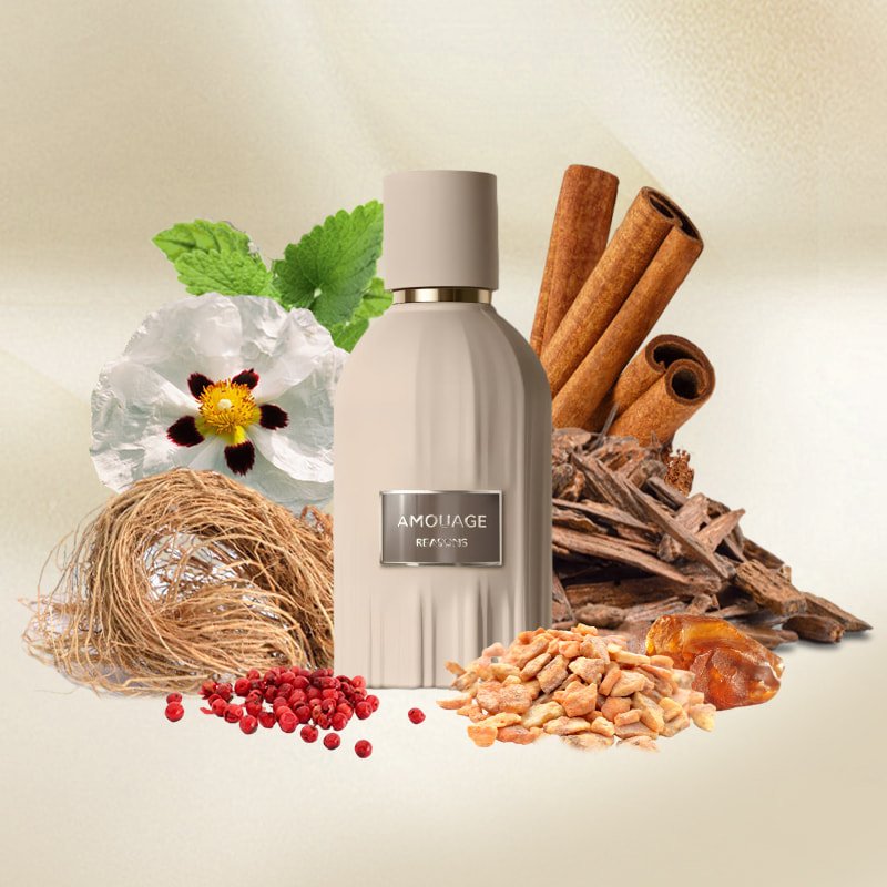 عطر امواج ریزنز - Reasons Amouage